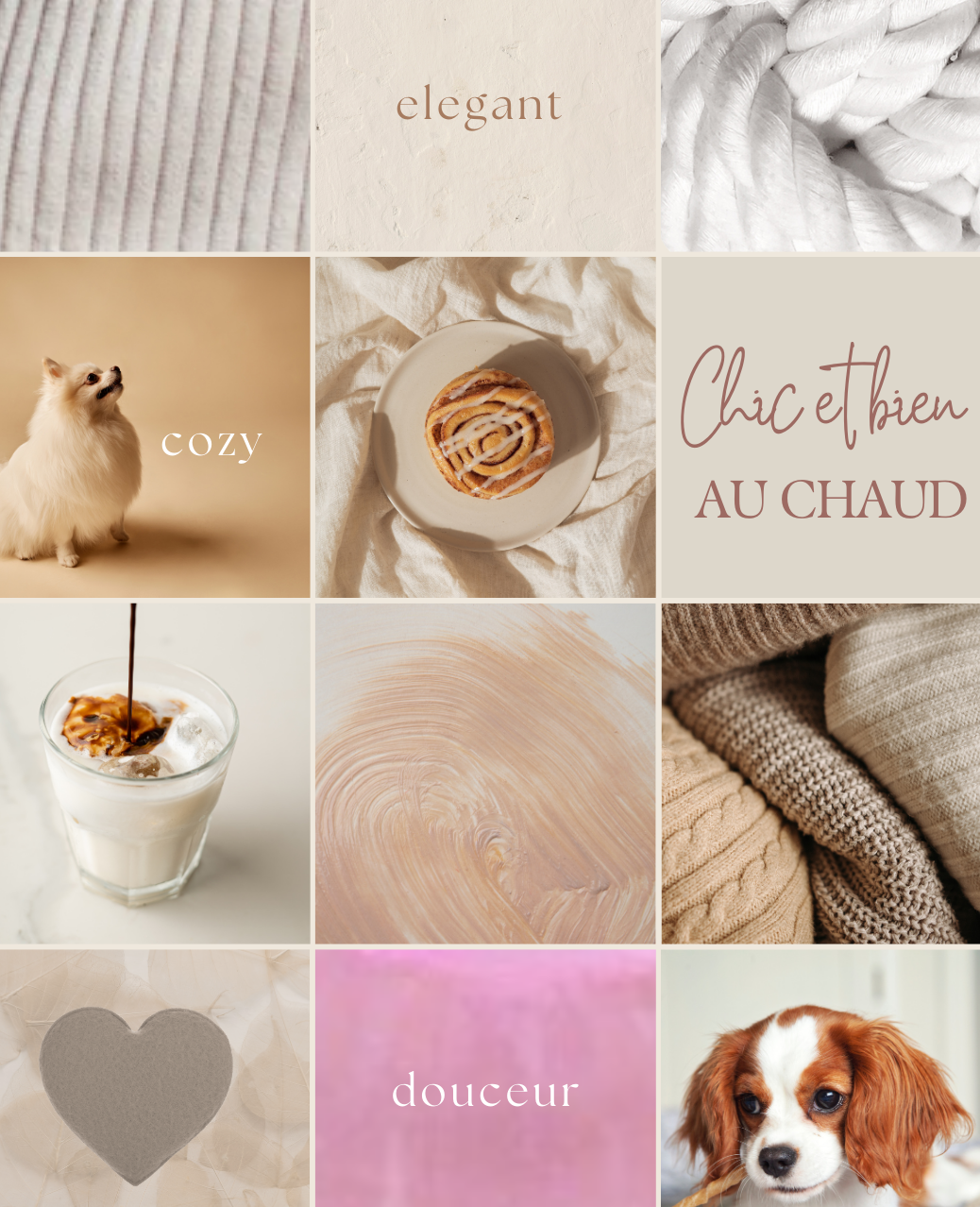 Coffret pour petit chien, spitz, chihuahua, yorshire, teckel, pomski. Coffret contenant une friandise, hygiène, soin, accessoire, surprise. Cadeau chic mensuel par abonnement pour petit chien