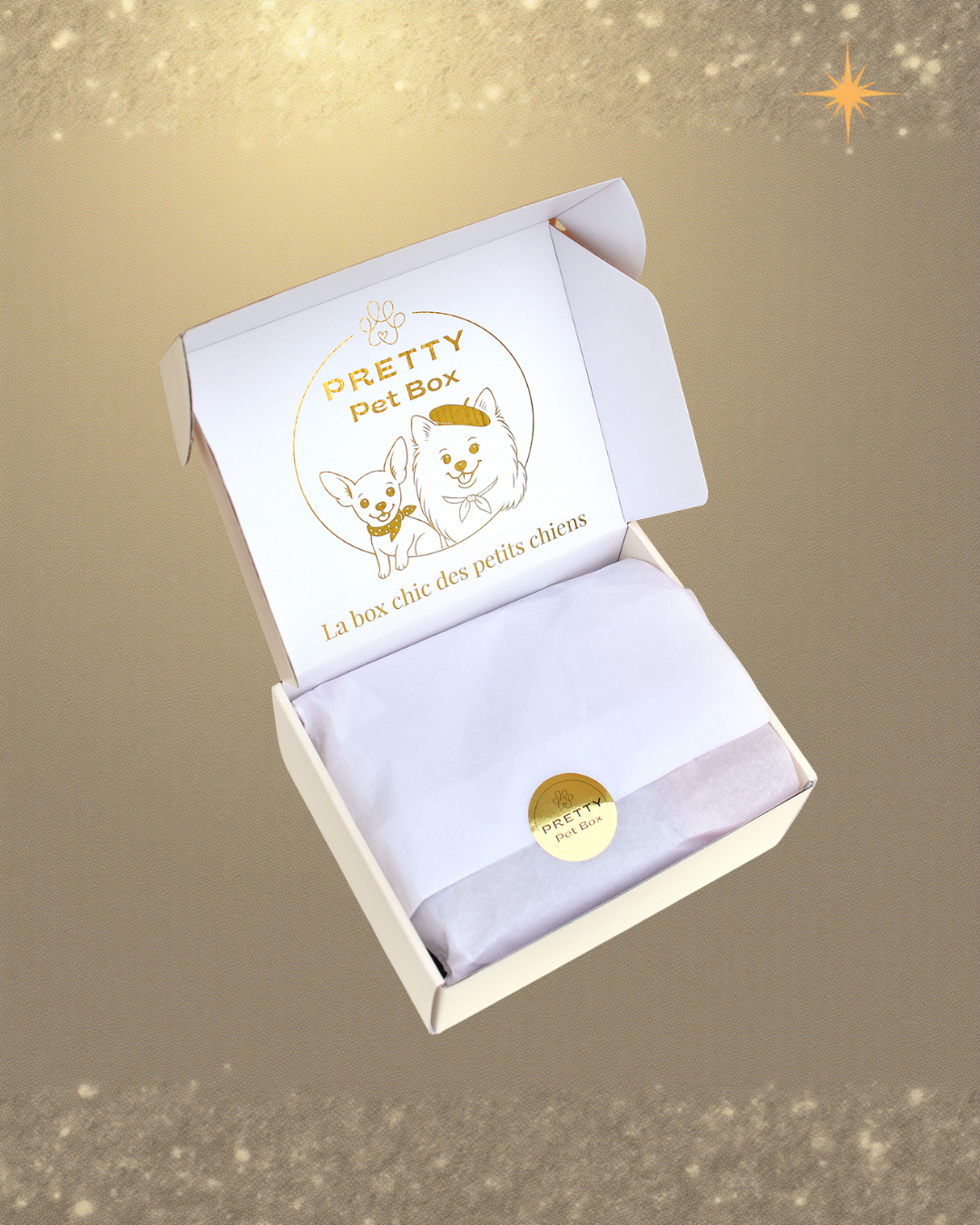 Box Surprise Pretty Pet Box vendue à l’unité, coffret chic pour petit chien avec 3 produits sélectionnés avec soin, livraison rapide, sans abonnement