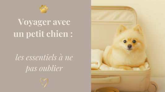 Voyager avec un petit chien : les essentiels à ne pas oublier.
