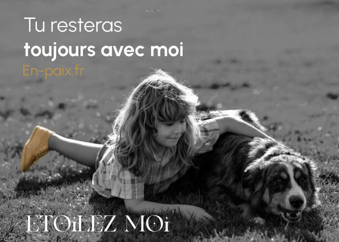 Comment garder un lien avec son chien après sa mort ?