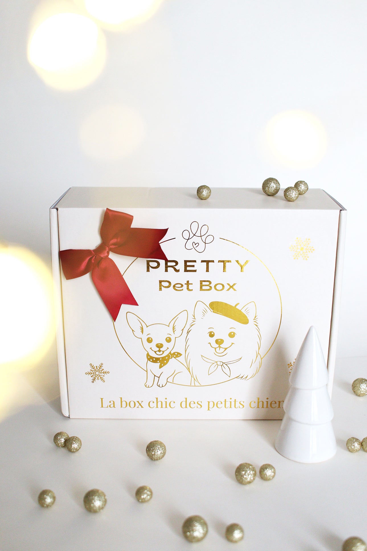 Box chien Pretty Pet Box, 5 produits adaptés aux petits chiens inclus dans une box chien, livraison rapide, sans abonnement