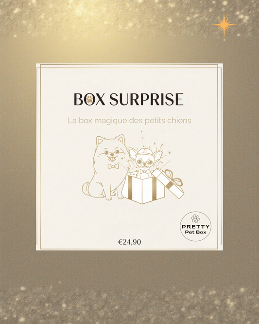 Box Surprise Pretty Pet Box vendue à l’unité, coffret chic pour petit chien avec 3 produits sélectionnés avec soin, livraison rapide, sans abonnement
