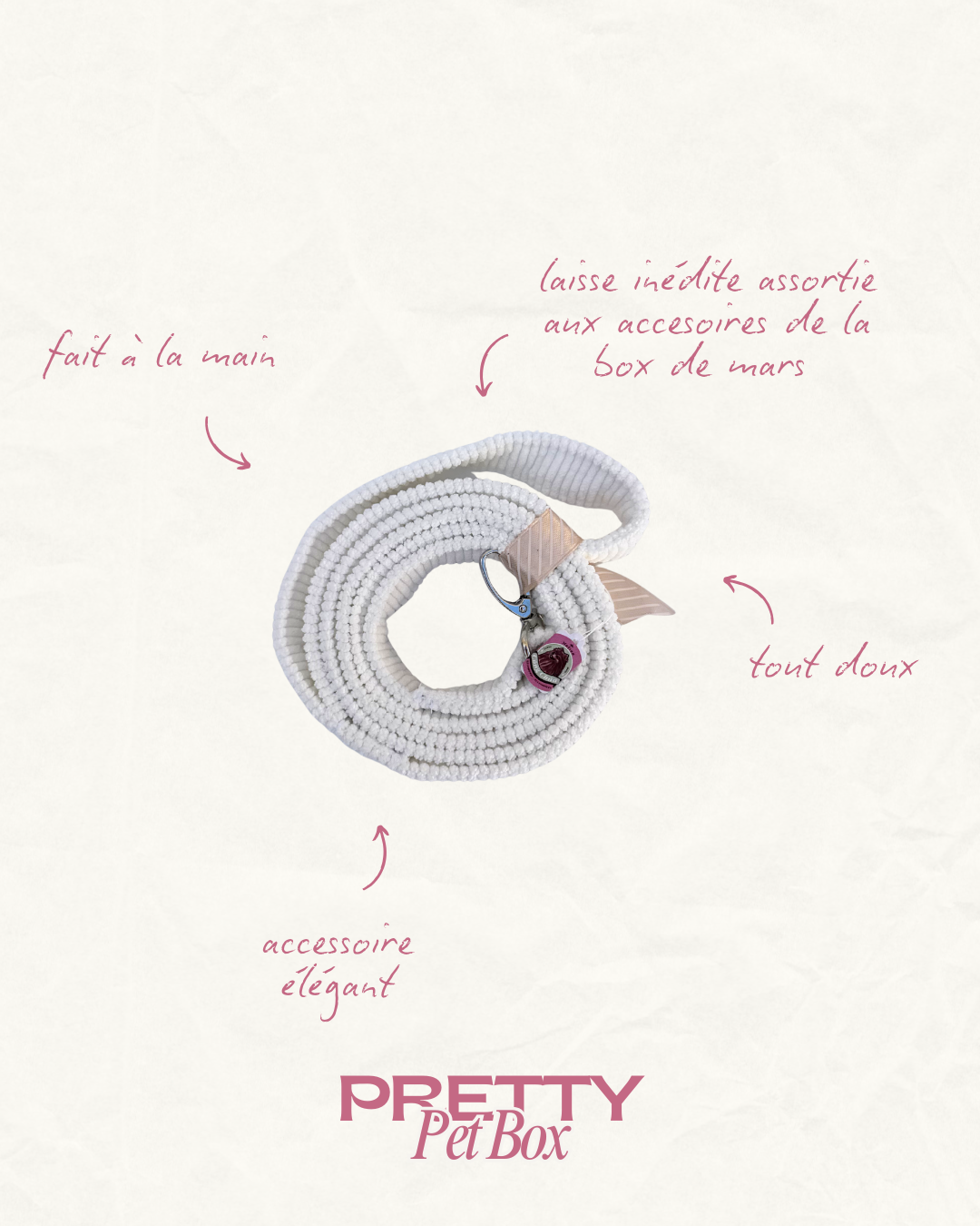 Box avril Pretty Pet Box, contenant 5 produits pour chien: jouet, friandise, accessoire, soin et surprise