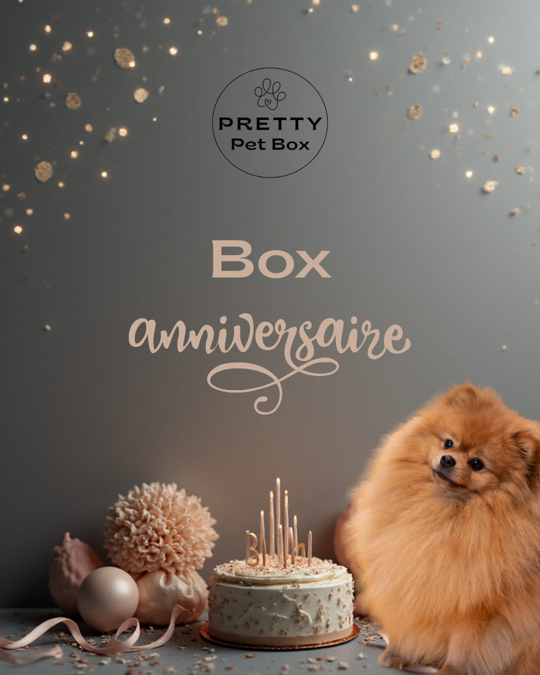 Box anniversaire pour chien, contenant 4 produits, sans abonnement, livraison rapide. Cadeau idéal pour petits chiens Spitz, teckel nain, chihuahua, cavalier king charles, yorkshire.