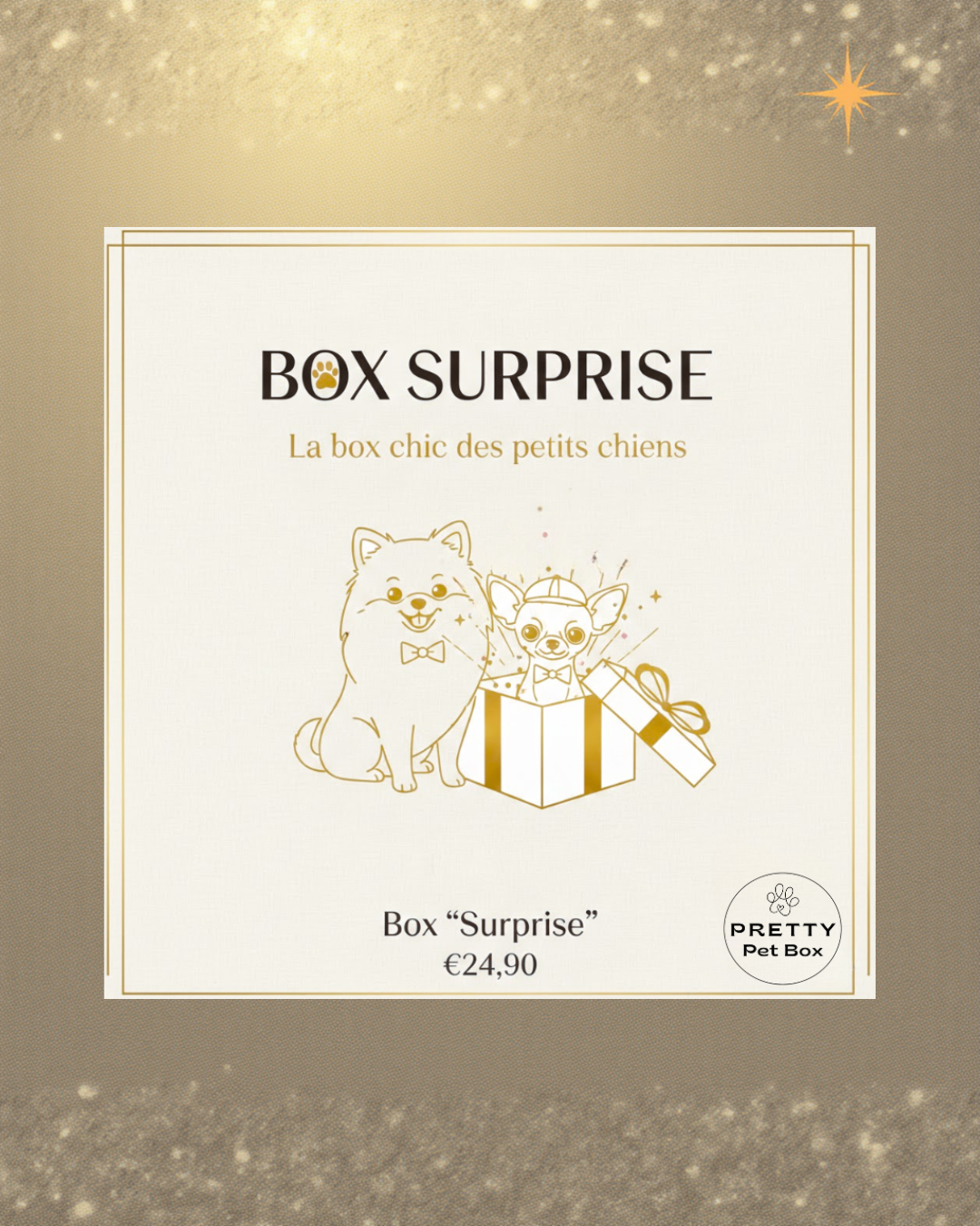 Box Surprise Pretty Pet Box vendue à l’unité, coffret chic pour petit chien avec 3 produits sélectionnés avec soin, livraison rapide, sans abonnement