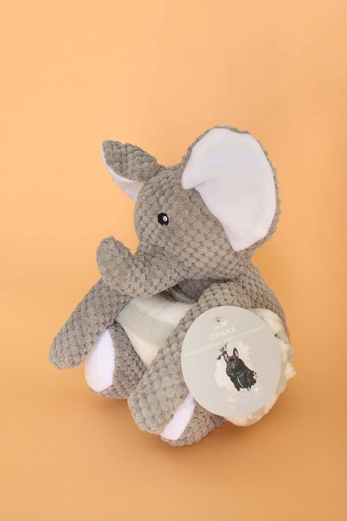 Jouet peluche et plaid pour box chien Pretty Pet Box, jouet adapté aux petits chiens inclus dans une box chien, livraison rapide, sans abonnement