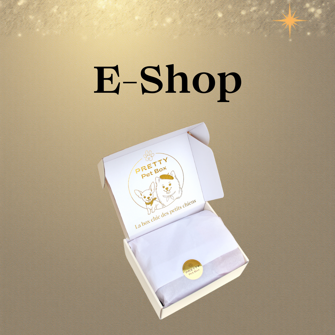 Toutes les box pour chien vendues à l'unité, sans abonnement, sans engagement. Box anniversaire. Box surprise. Box des éditions précédentes. Cadeau à offrir petit chien