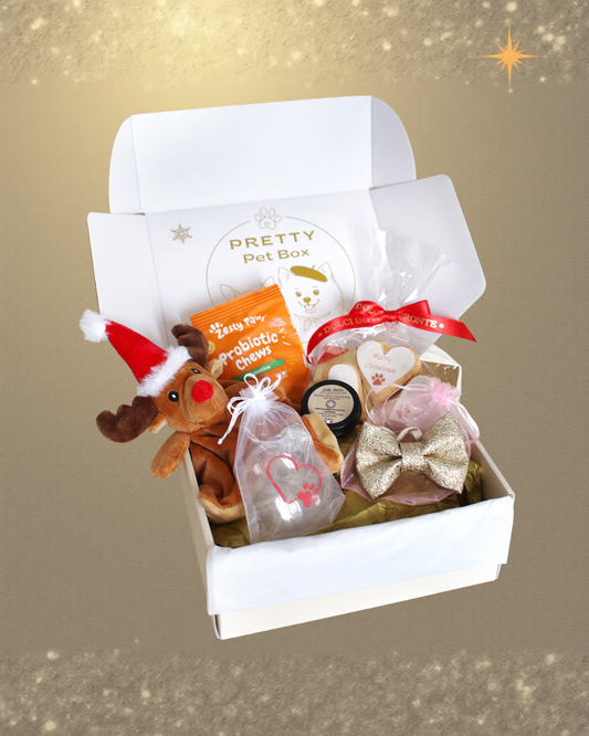 Box de décembre Pretty Pet Box vendue à l’unité, coffret chic pour petit chien avec 5 produits sélectionnés avec soin, livraison rapide, sans abonnement