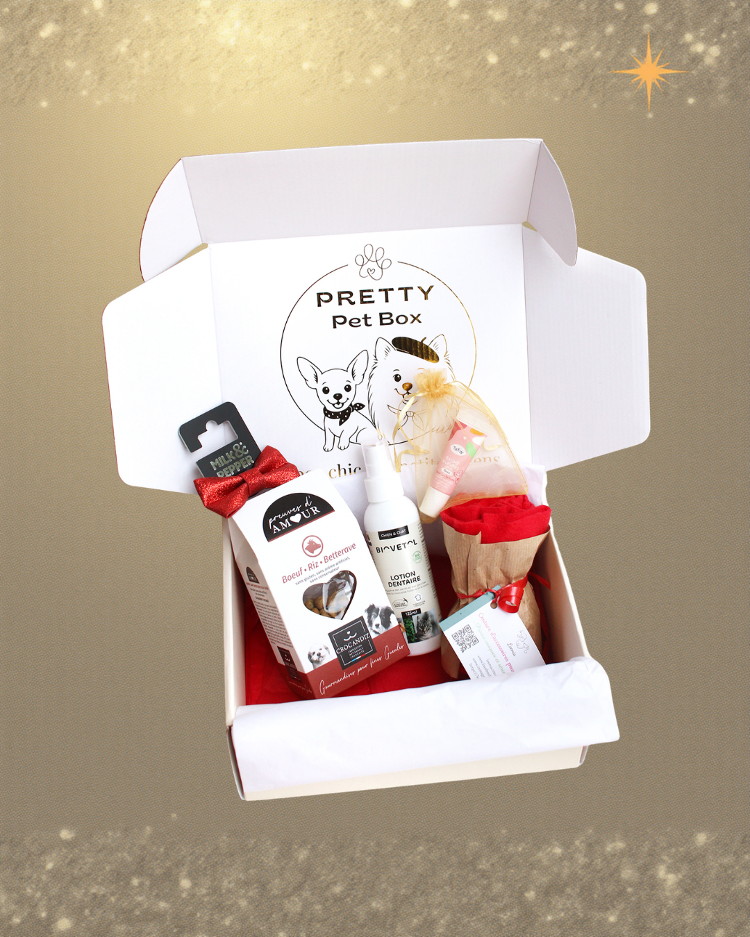 Box de Janvier 2026 Pretty Pet Box vendue à l’unité, coffret chic pour petit chien avec 5 produits sélectionnés avec soin, livraison rapide, sans abonnement