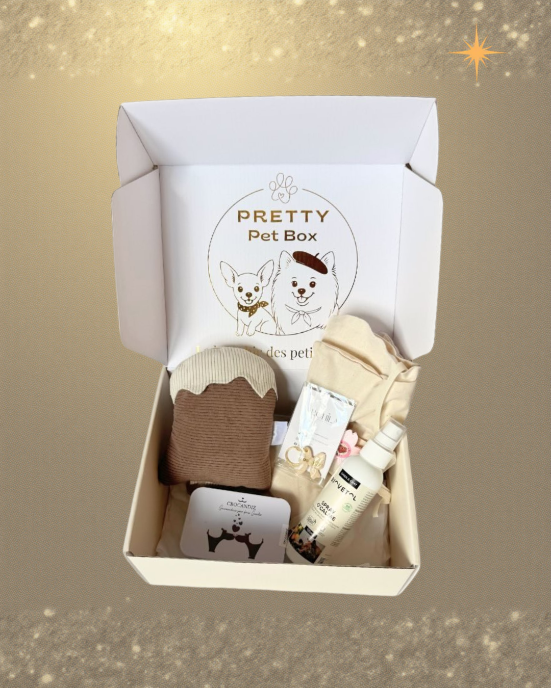 Cadeau chien, coffret chien, indispensables pour petits chiens