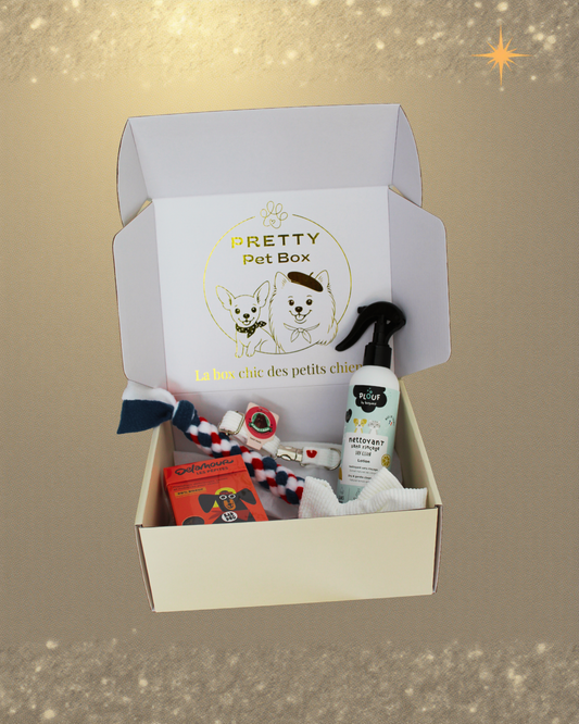 Box de Mars 2026 Pretty Pet Box vendue à l’unité, coffret chic pour petit chien avec 5 produits sélectionnés avec soin, livraison rapide, sans abonnement