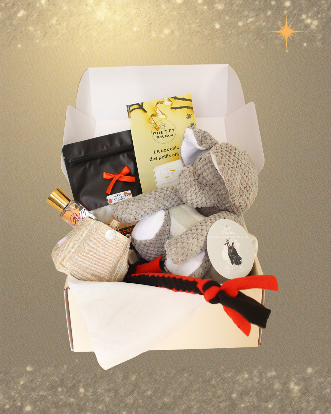 Box d'octobre Pretty Pet Box vendue à l’unité, coffret chic pour petit chien avec 5 produits sélectionnés avec soin, livraison rapide, sans abonnement