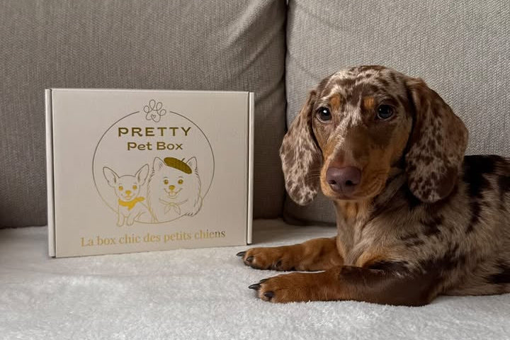 Box mensuelle chien, livraison mensuelle offerte, friandise, accessoire, jouet, produit de soin et surprise. Pour les chiens pesant jusqu'à 10kg