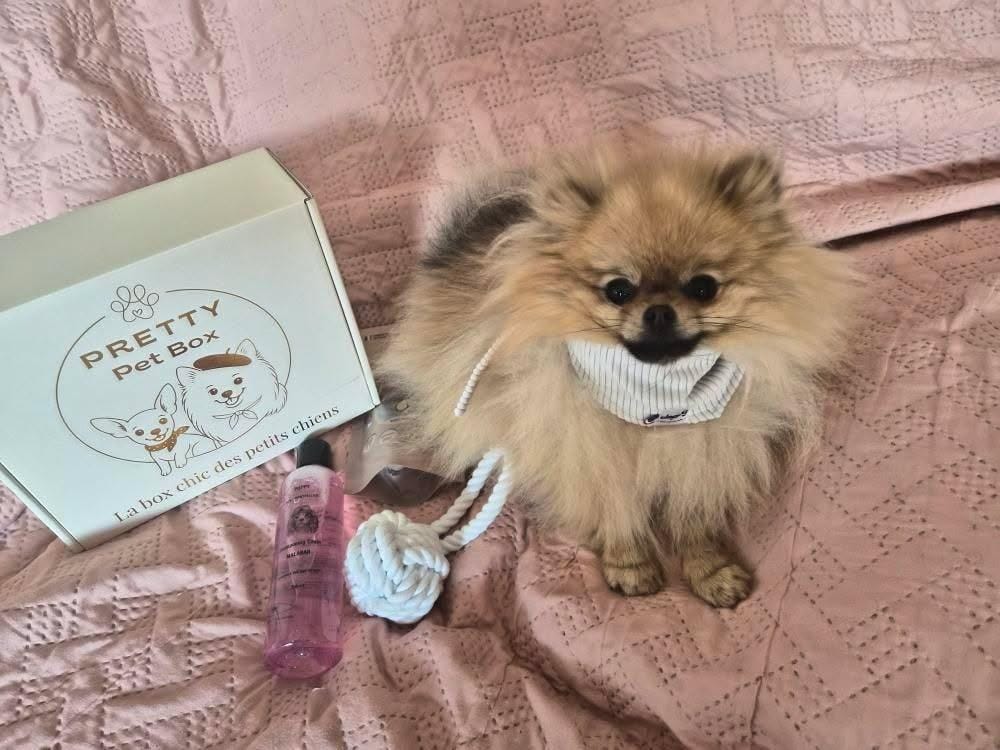 Cette box c'est le cadeau parfait pour votre petit chien. Livraison mensuelle de 5 produits de qualité.