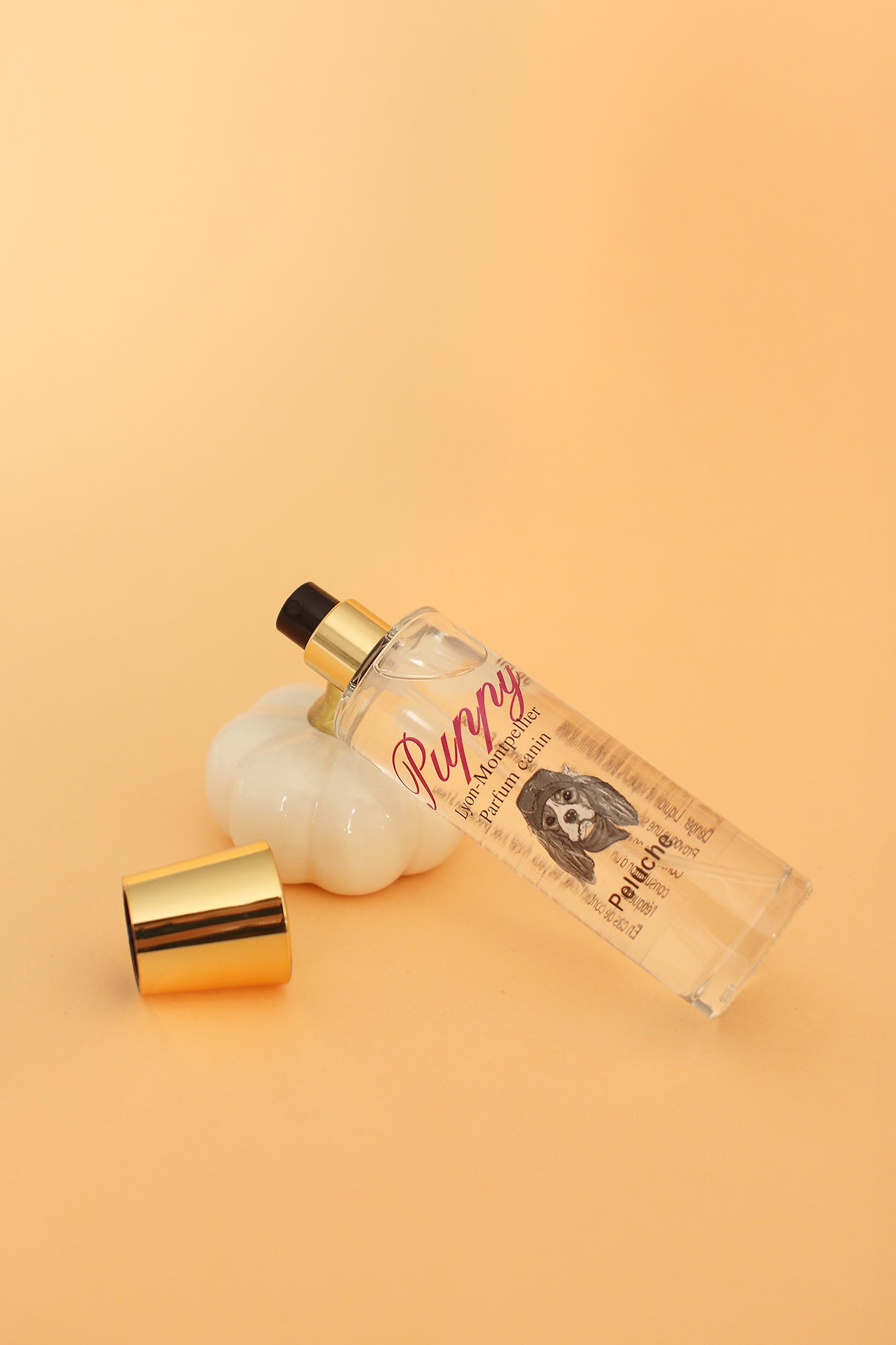 Parfum pour chien Pretty Pet Box, baume doux pour petit chien inclus dans une box, livraison rapide, sans abonnement