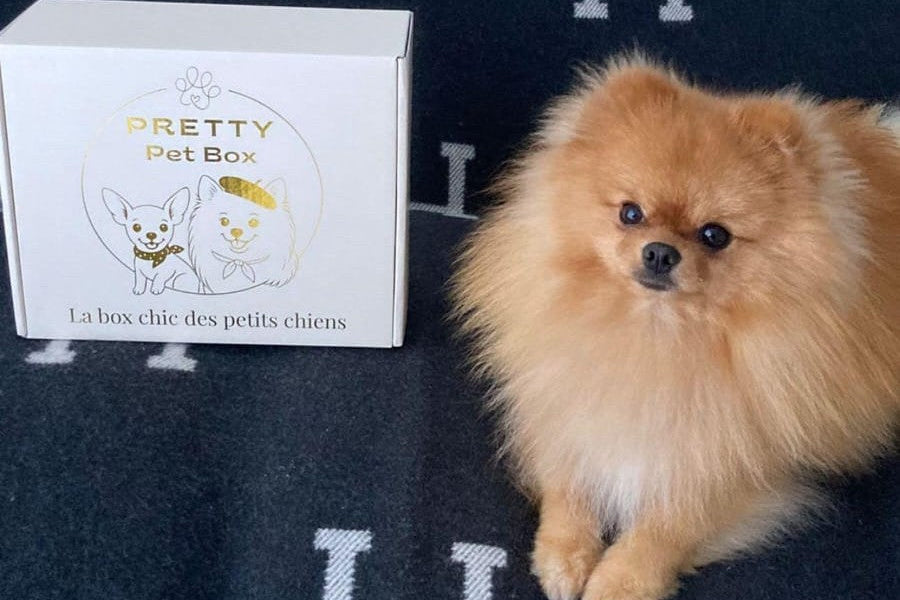 Une box mensuelle pour chien de petite taille contenant 5 produits utiles