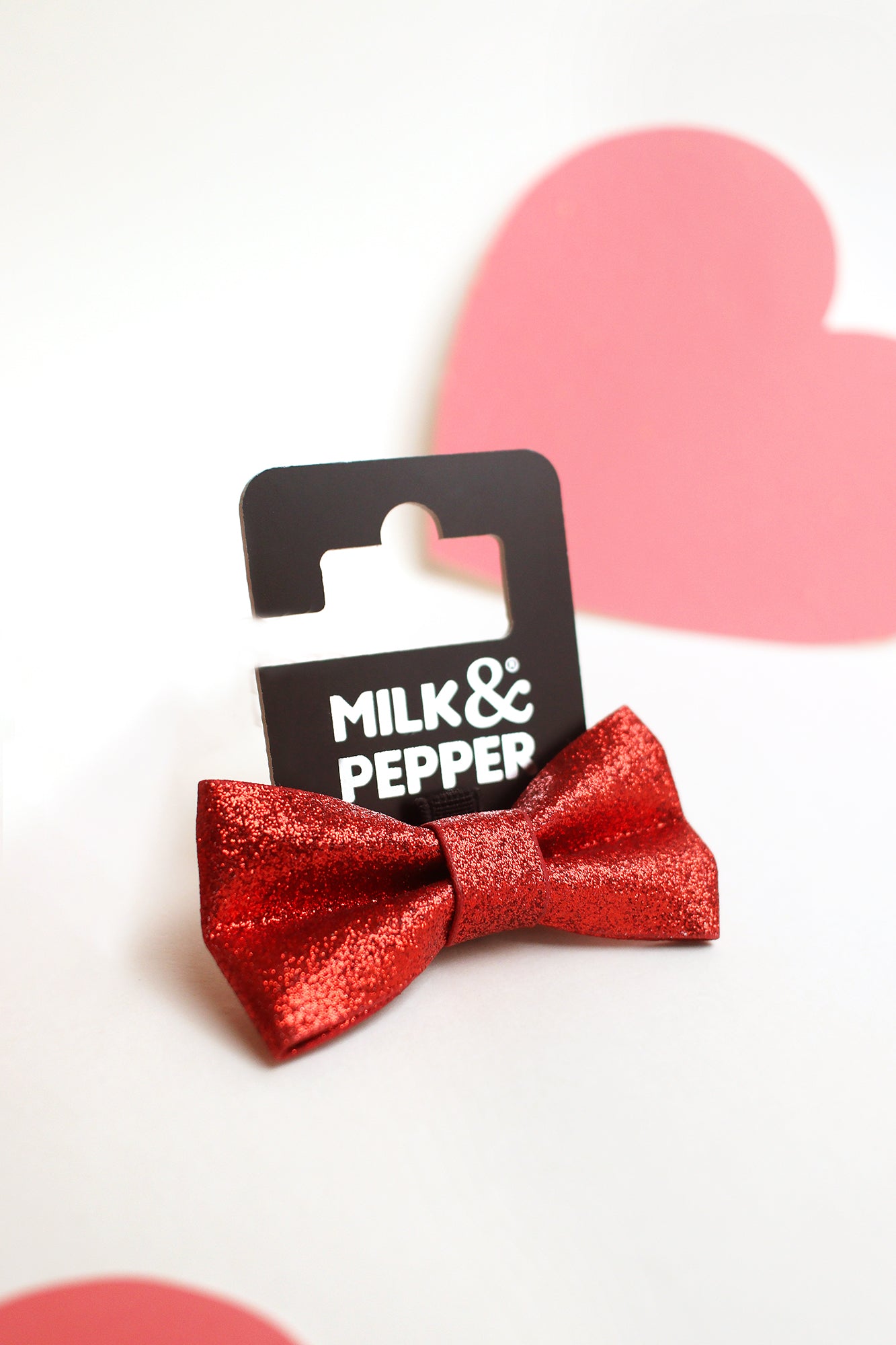 Accessoire pour petits chiens stylé