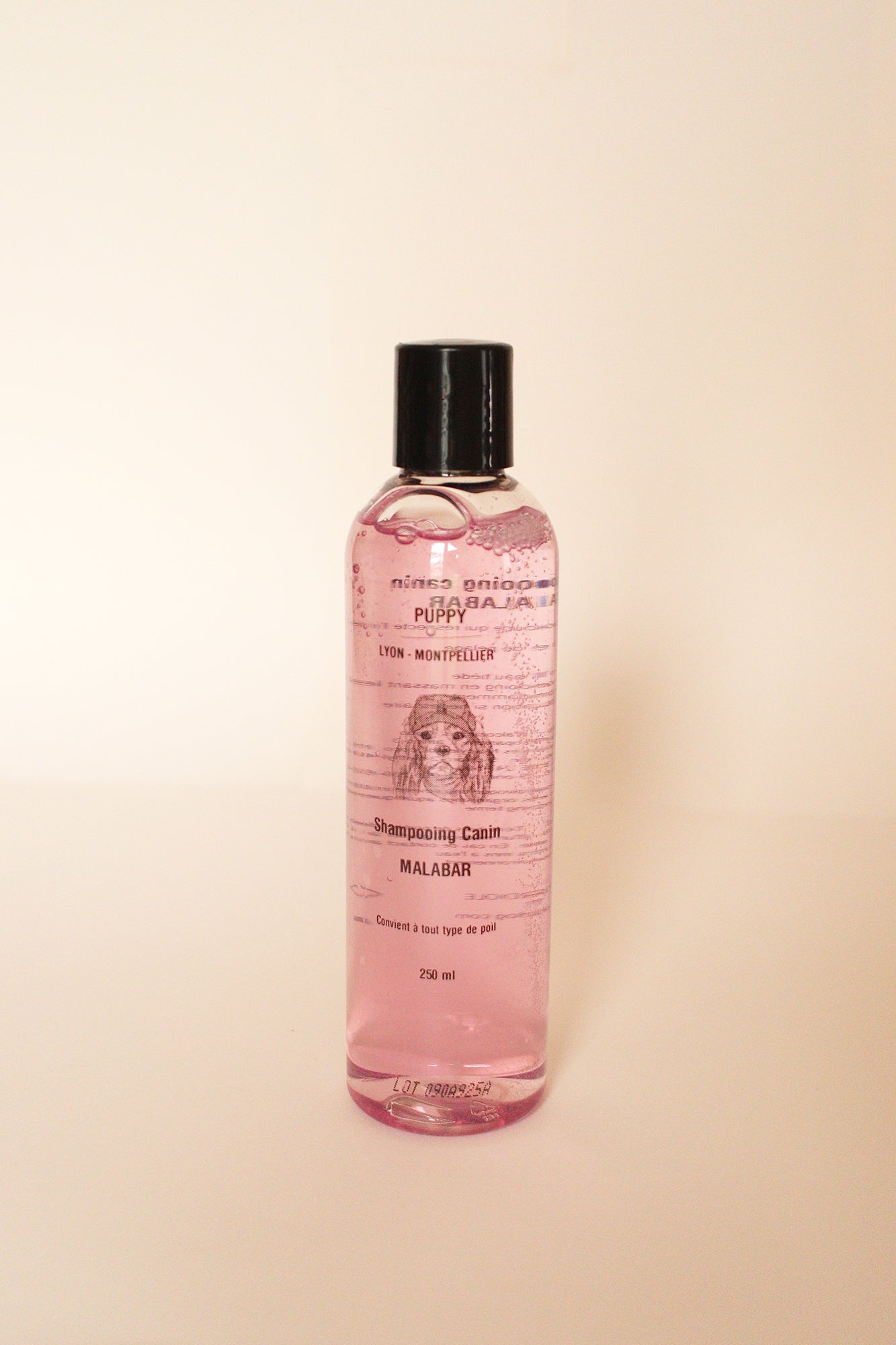 La box de Janvier 2026